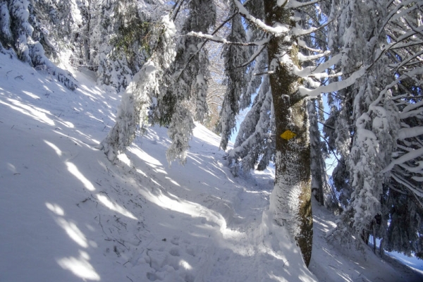 Toute la journée dans la neige 