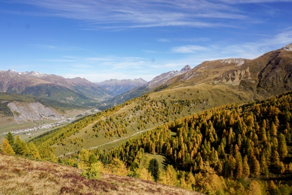 L’automne flamboyant de Zuoz