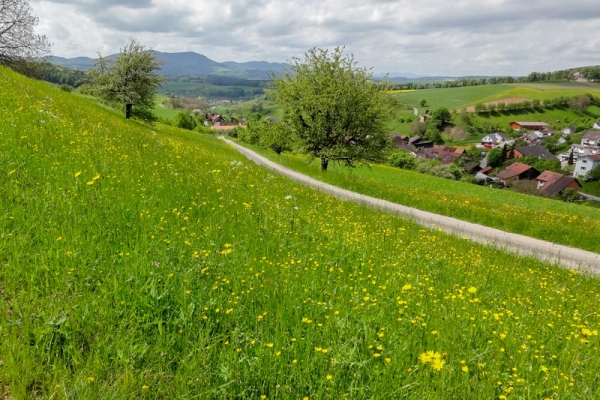 Immersion dans le Fricktal 