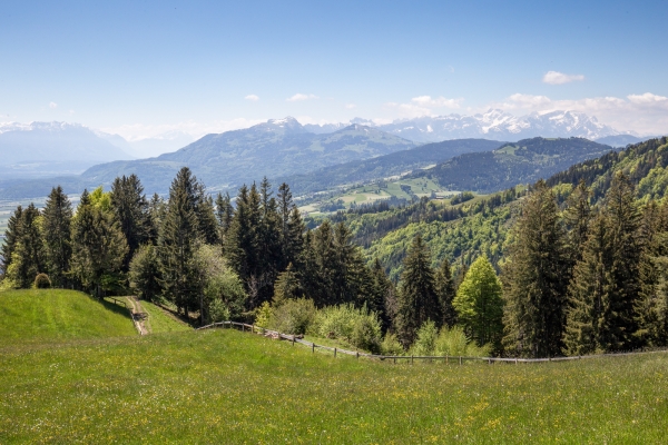 Vom Appenzeller Vorderland ins Rheintal