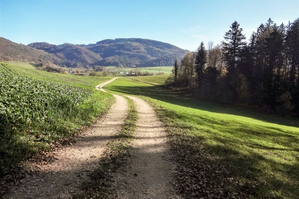 Dans le Val Terbi