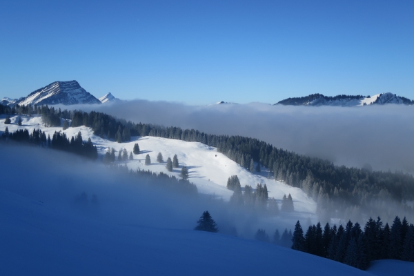 Hügeltour im Appenzellerland