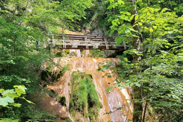 Les hauts du Jura, un paysage varié