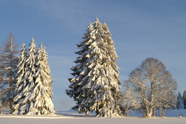 Auf dem jurassischen Hochplateau