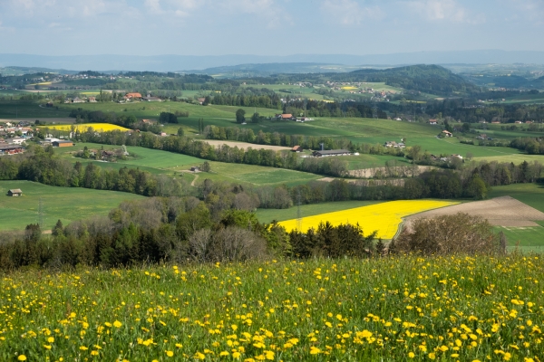 Dall’Altopiano vodese al Lavaux