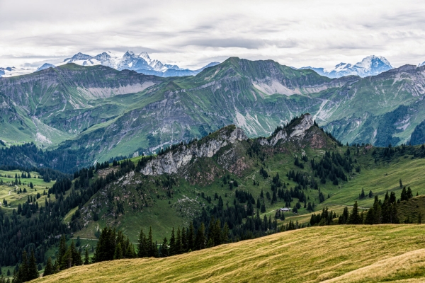 Sanfte Höhenwanderung