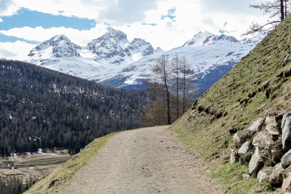 Speed-Hiking à Pontresina GR