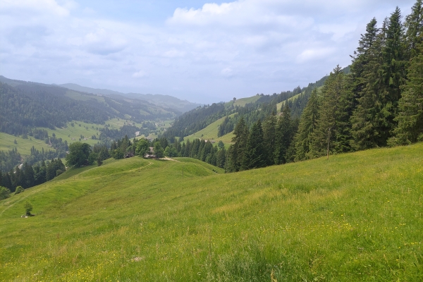 Entre l’Emmental et l’Oberland bernois