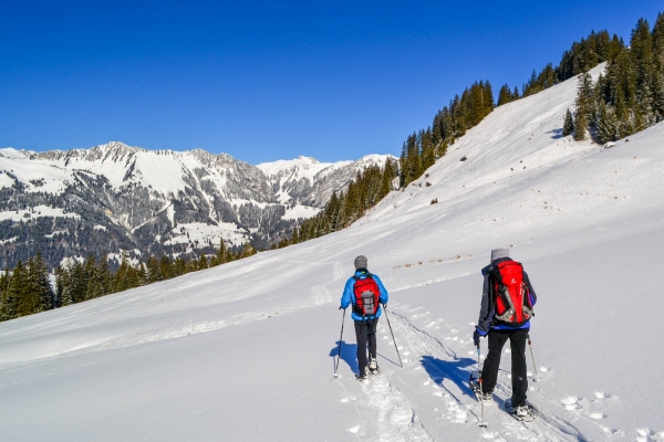 Face au Stockhorn BE