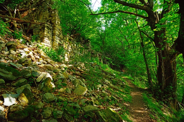 Aria di primavera nel sud del Ticino