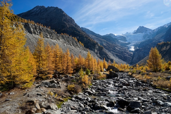 Von Grächen ins Tal des Riedgletschers