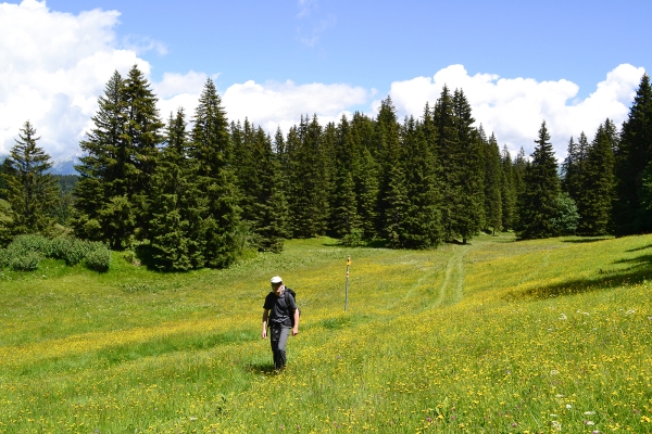 Randonner au Furner Berg, dans le Prättigau