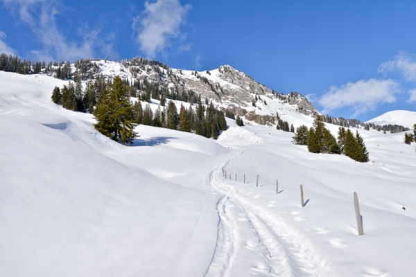 Parcours paisible au-dessus de Rougemont