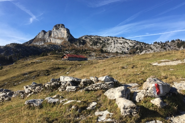 Zwei Gipfel oberhalb Leysin