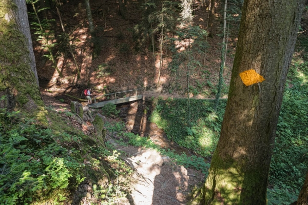 Von Schwarzenburg ans Schwarzwasser