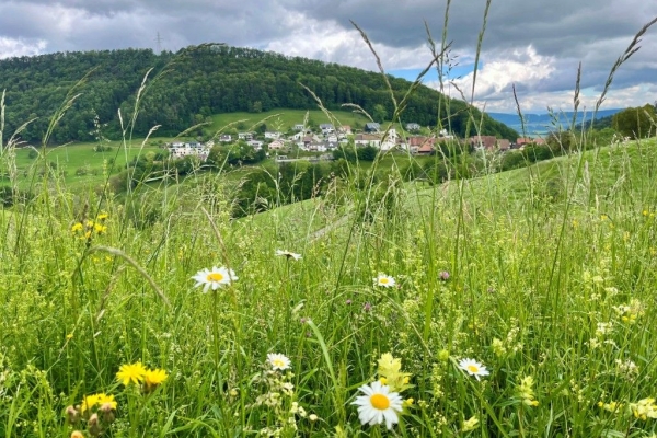 Kulinarische Wanderung Schwarzbubenland