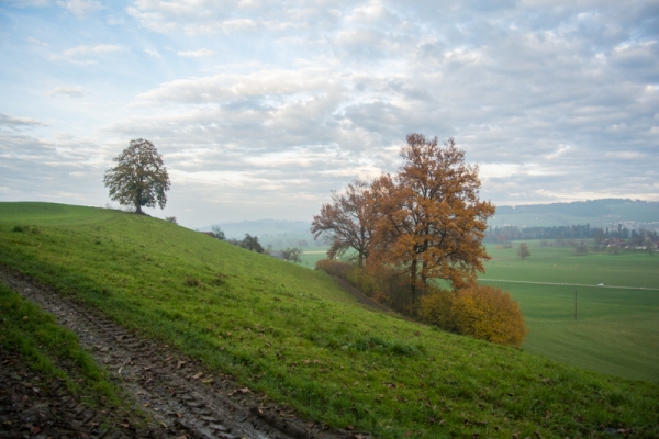 Dämmerung im Hinterland