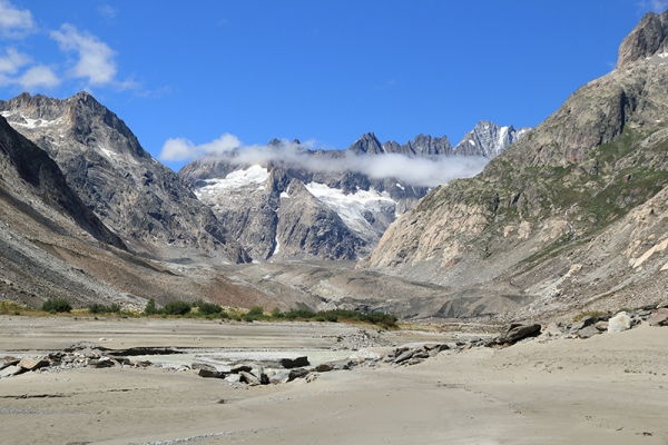 Droséra sur le Grimsel