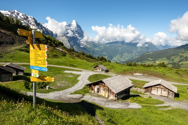 D’alpage en alpage dans la vallée de Rychenbach