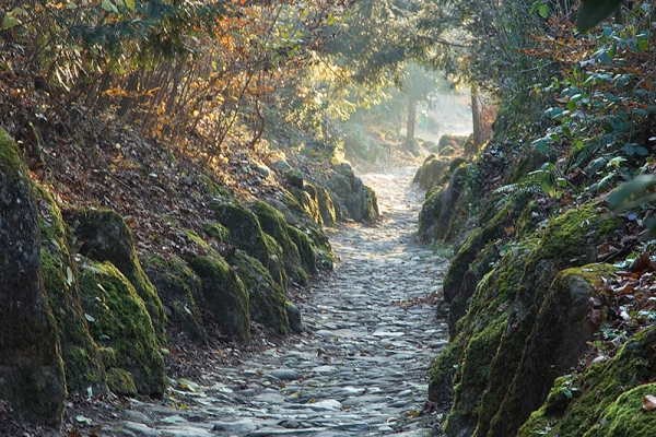 Le Chemin creux