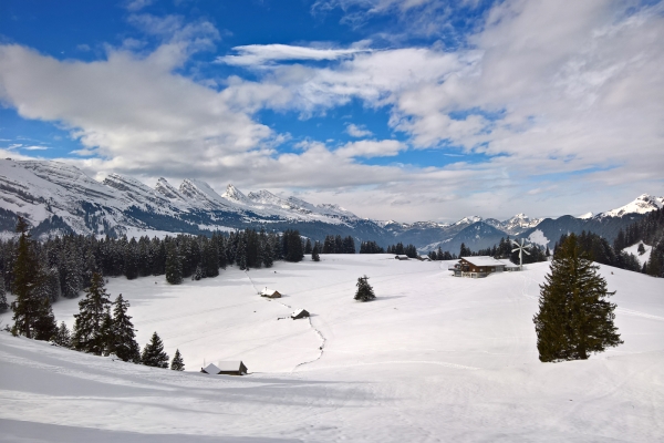 Ruhige Sonnenseite über Wildhaus