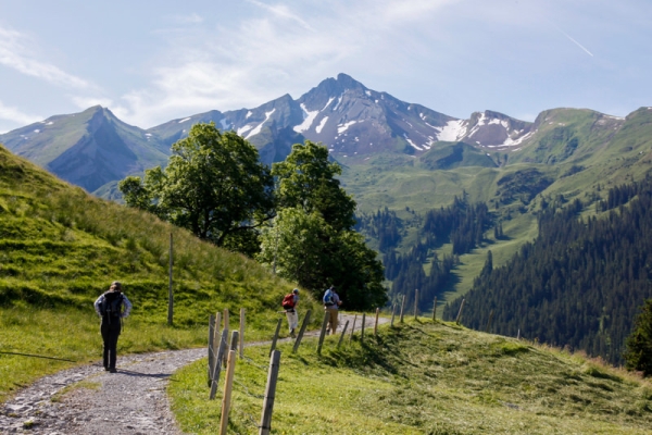 Sommerfrische und Orte der Kraft