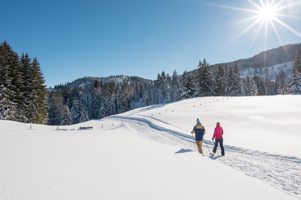 Un air d’Arctique dans le Toggenbourg