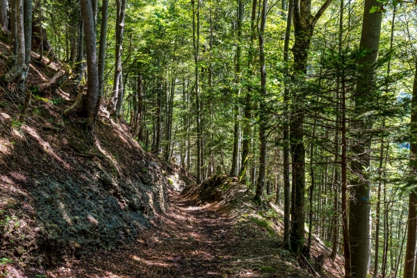 Durchs Ofenloch auf die Schwägalp AR