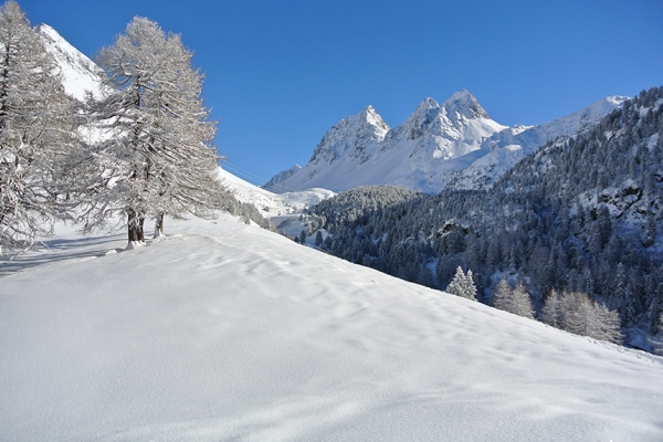 Féerie hivernale à Preda