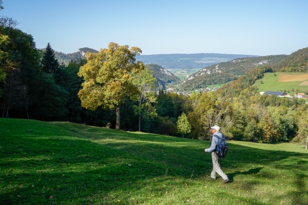 Zum Welschgätterli im Solothurner Schwarzbubenland