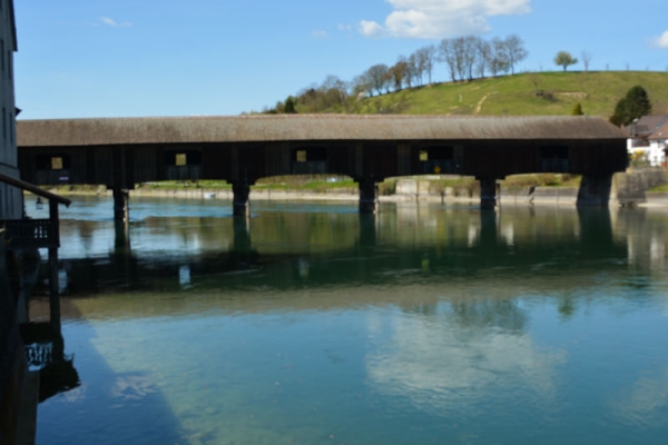 Frühlingswanderung am Hochrhein 