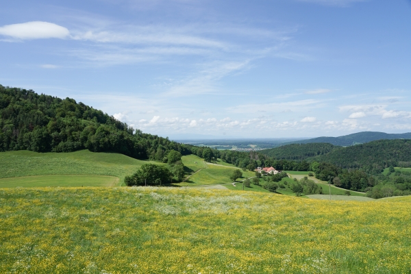 De Courgenay au Doubs