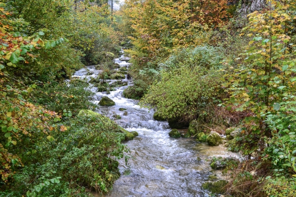 La Wolfsschlucht et le parc naturel de Thal