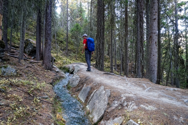 Von Grächen ins Tal des Riedgletschers