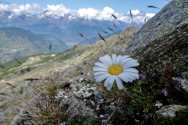 Randonnée panoramique au-dessus de Grächen