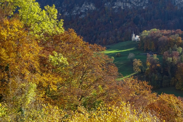 Rundwanderung mit Seeblick bei Flüeli-Ranft