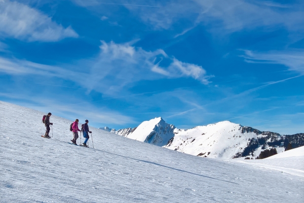 Schneeschuhtour am Col des Mosses