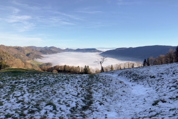 Sentier de la Wolfsschlucht dans le Parc naturel Thal