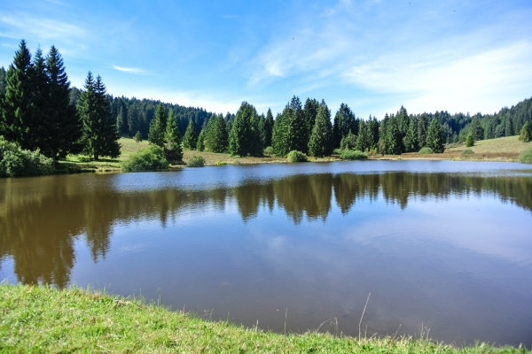 Teiche und Pferdeweiden in den Freibergen