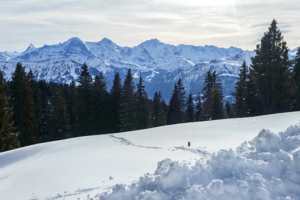 Chüematten-Trail am Niederhorn 