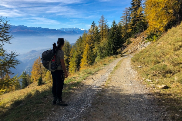 Randonnée le long d’un bisse du Bas-Valais