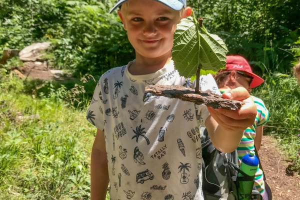 Randonnée féerique le long d’un bisse 