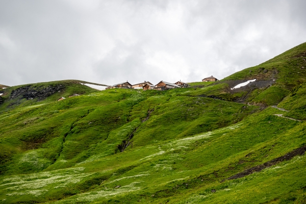 D’alpage en alpage dans la vallée de Rychenbach