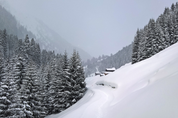 Höhenwege in der Surselva