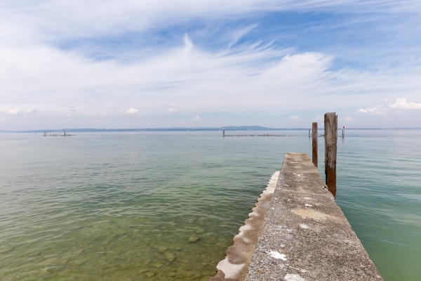 Escursione floreale al lago di Costanza