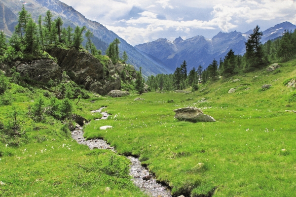 De la Fafleralp à la cabane Anen (VS)