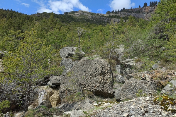 Su e giù nella zona della frana di Goldau