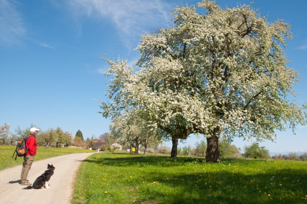 Frühling auf dem Seerücken