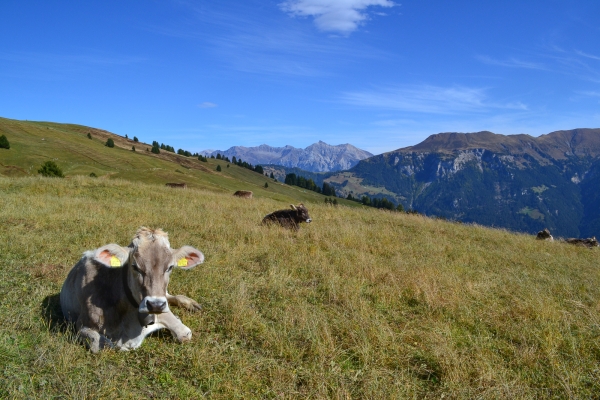 Dans le Parc naturel de Beverin