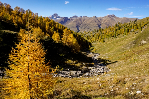 L’automne flamboyant de Zuoz